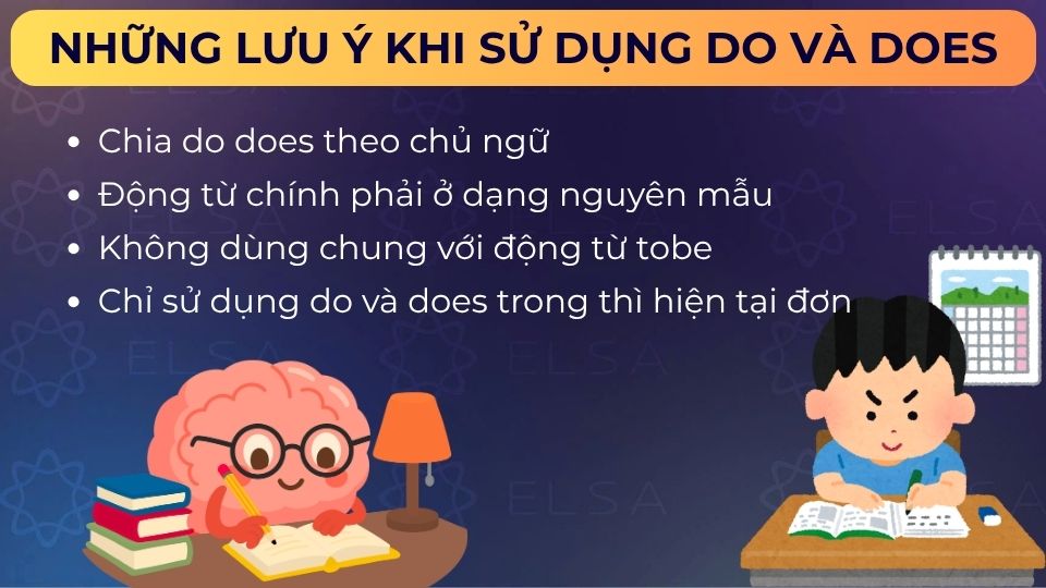 Một số lưu ý khi sử dụng do/does trong tiếng Anh