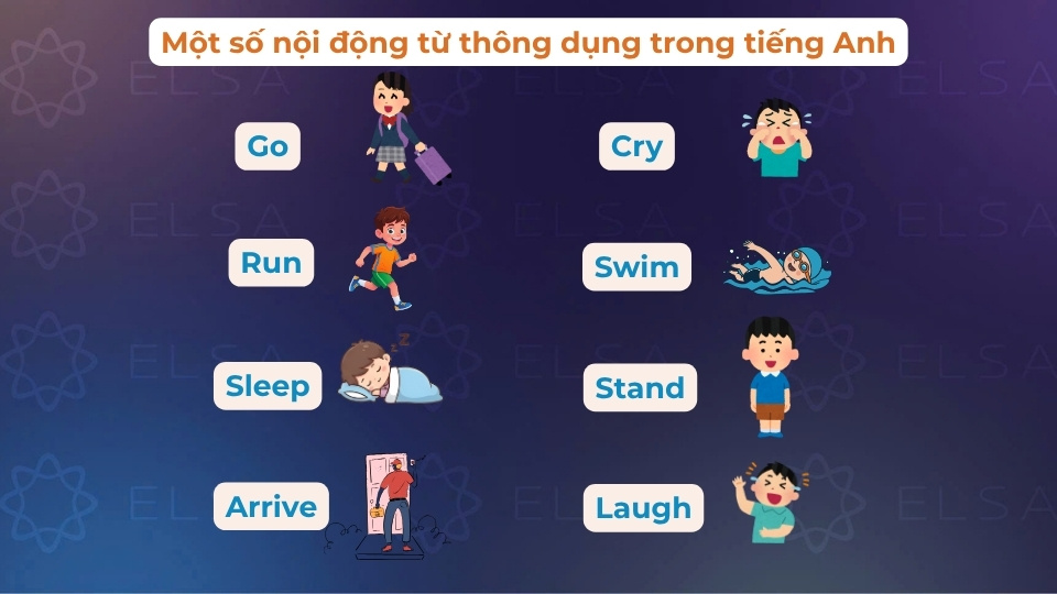 Một số nội động từ phổ biến trong tiếng Anh