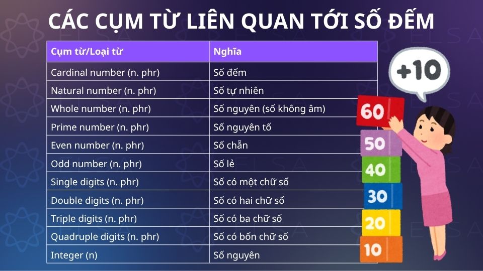 Các cụm từ liên quan tới số đếm