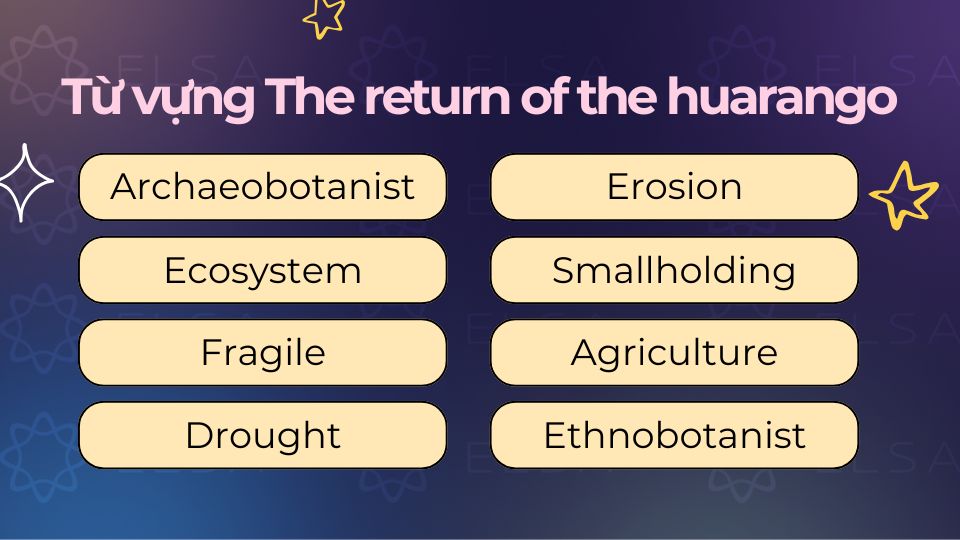 Từ vựng The return of the huarango reading