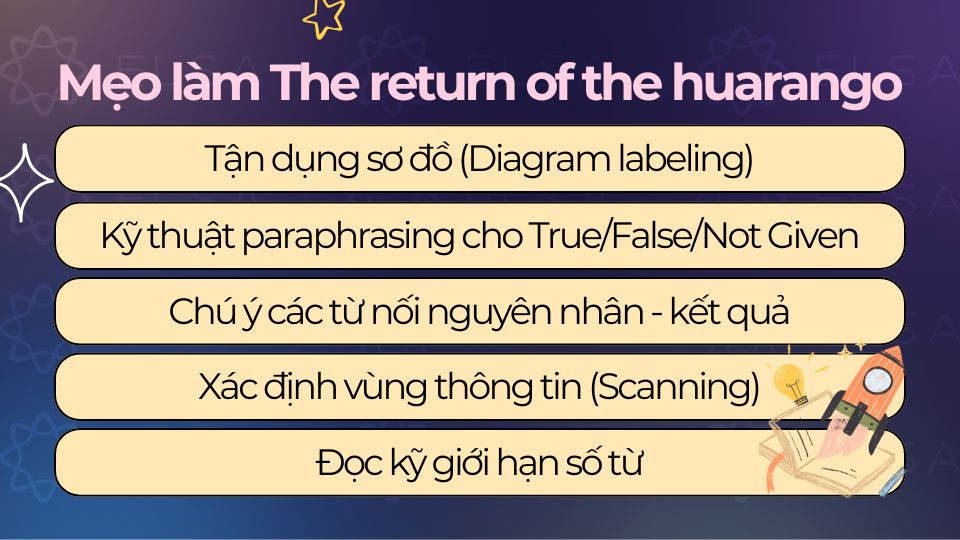 Mẹo làm bài The return of the huarango Reading IELTS điểm cao