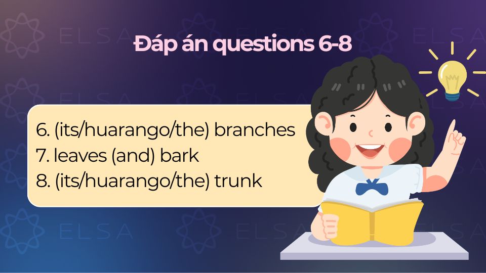 Đáp án Questions 6-8 (Complete the table)