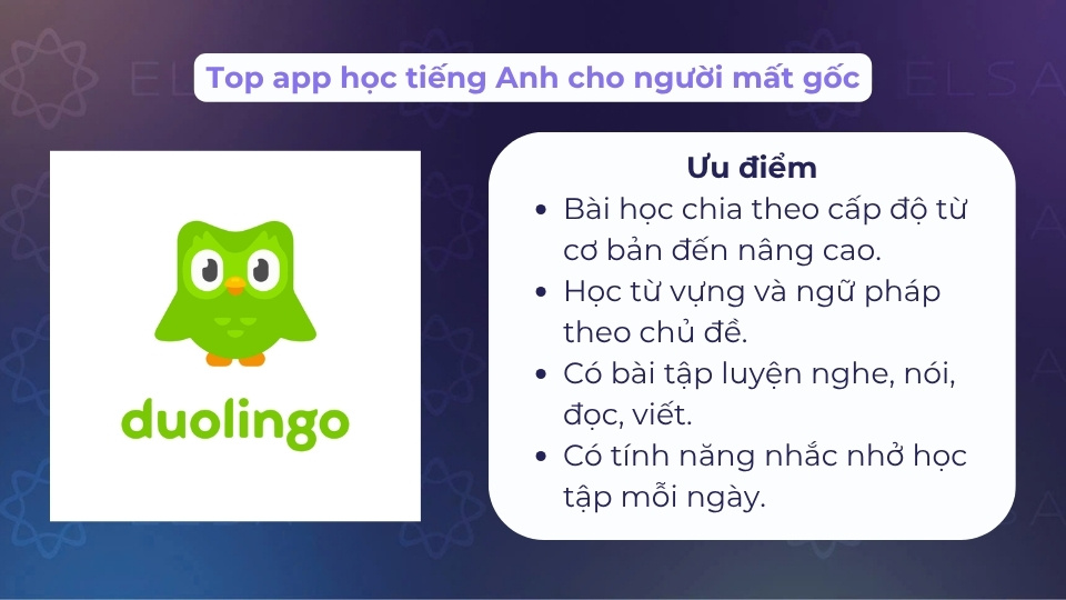 Duolingo là app học phổ biến dành cho người mất gốc