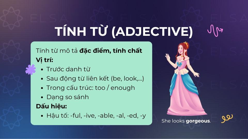 Tính từ (Adjective)