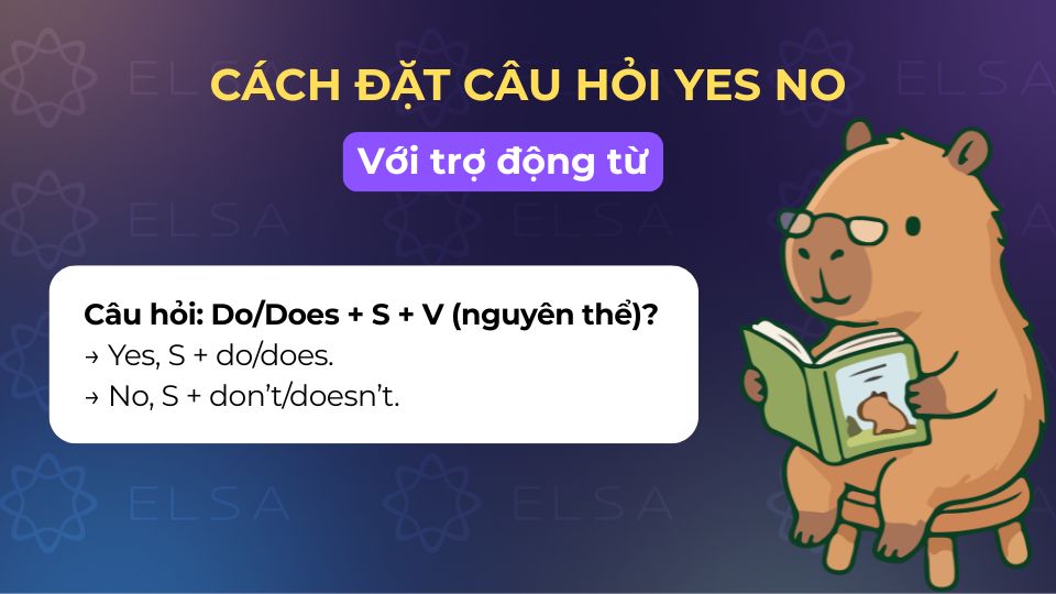 Cấu trúc câu hỏi yes/no với trợ động từ