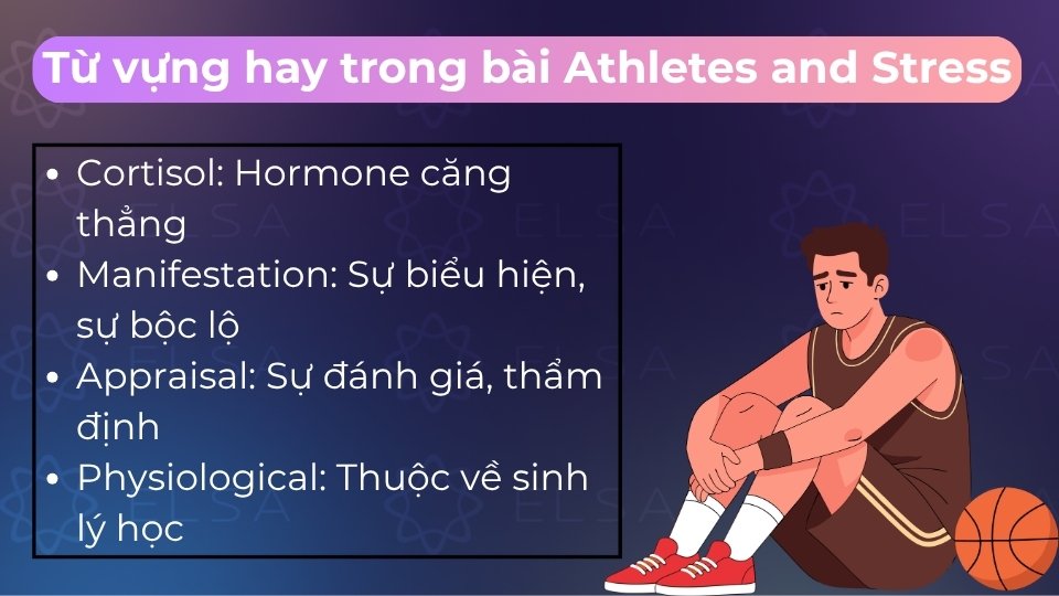 Bảng tổng hợp từ vựng học thuật cốt lõi giúp bứt phá điểm số trong bài Athletes and Stress Bảng tổng hợp từ vựng học thuật cốt lõi giúp bứt phá điểm số trong bài Athletes and Stress