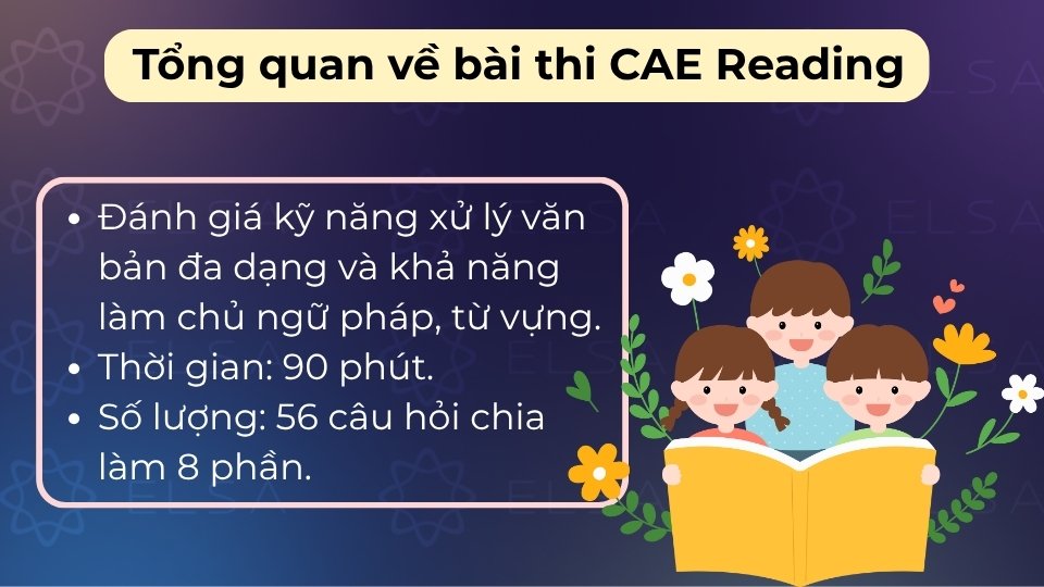 Bài thi gồm 8 phần, 56 câu trong 90 phút, đánh giá đọc hiểu và ngữ pháp chuyên sâu