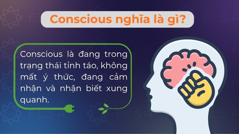 Conscious là tính từ mang nghĩa tỉnh táo, biết rõ hoặc nhận thức được sự việc đang diễn ra
