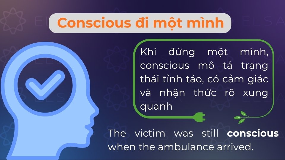 Conscious dùng độc lập để chỉ trạng thái tỉnh táo, có cảm giác và nhận thức rõ xung quanh