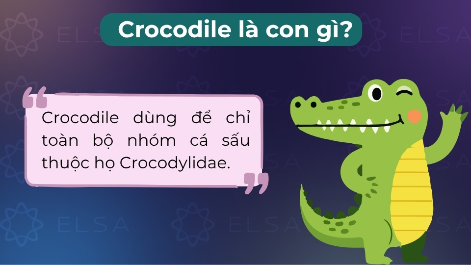 Crocodile là loài bò sát lớn, da cứng, có mõm nhọn hình chữ V và sống ở vùng nóng ẩm Crocodile là loài bò sát lớn, da cứng, có mõm nhọn hình chữ V và sống ở vùng nóng ẩm