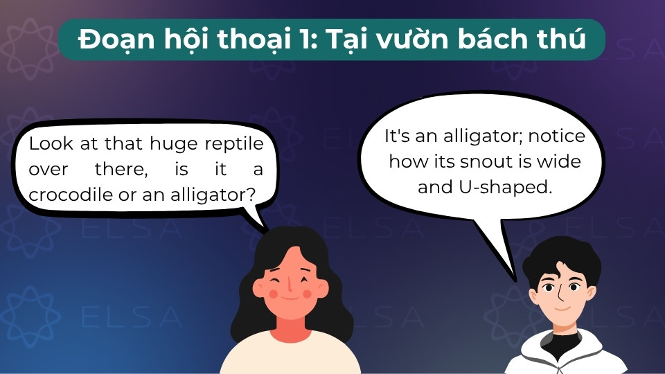 Hai người bạn đang hào hứng quan sát và phân biệt giữa cá sấu mõm dài và cá sấu mõm ngắn Hai người bạn đang hào hứng quan sát và phân biệt giữa cá sấu mõm dài và cá sấu mõm ngắn