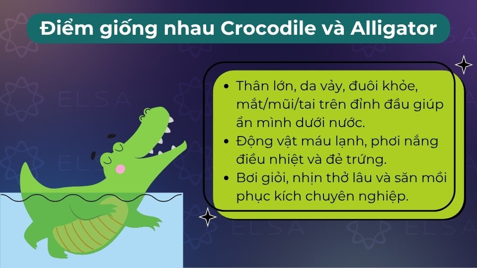 Đều là bò sát máu lạnh, đẻ trứng, bơi giỏi, da vảy cứng và mắt/mũi/tai nằm ở đỉnh đầu Đều là bò sát máu lạnh, đẻ trứng, bơi giỏi, da vảy cứng và mắt/mũi/tai nằm ở đỉnh đầu