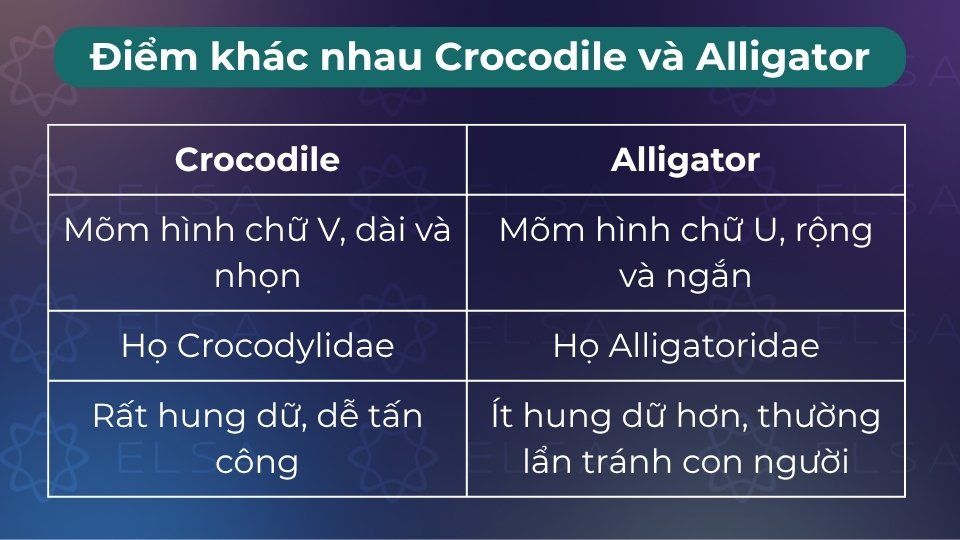 Khác nhau ở mõm (V với U), răng (lộ với ẩn), hệ bài tiết muối và môi trường (mặn với ngọt) Khác nhau ở mõm (V với U), răng (lộ với ẩn), hệ bài tiết muối và môi trường (mặn với ngọt)