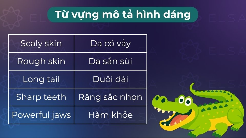 Bao gồm các tính từ chỉ kích thước, màu sắc và đặc điểm bộ phận giúp hình dung rõ vật thể Bao gồm các tính từ chỉ kích thước, màu sắc và đặc điểm bộ phận giúp hình dung rõ vật thể