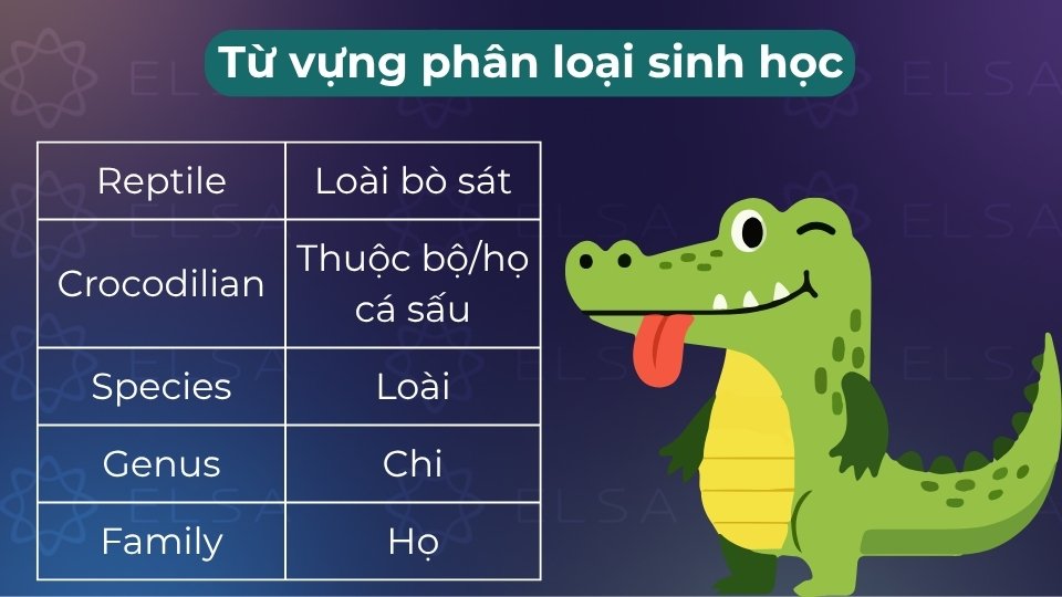 Gồm các cấp bậc từ kingdom, family đến species để định danh sinh vật một cách khoa học Gồm các cấp bậc từ kingdom, family đến species để định danh sinh vật một cách khoa học