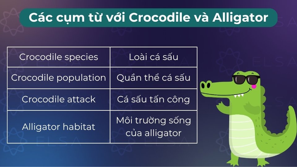 Các cụm từ đi kèm giúp diễn đạt tự nhiên như crocodile tears hay see you later, alligator trong giao tiếp Các cụm từ đi kèm giúp diễn đạt tự nhiên như crocodile tears hay see you later, alligator trong giao tiếp
