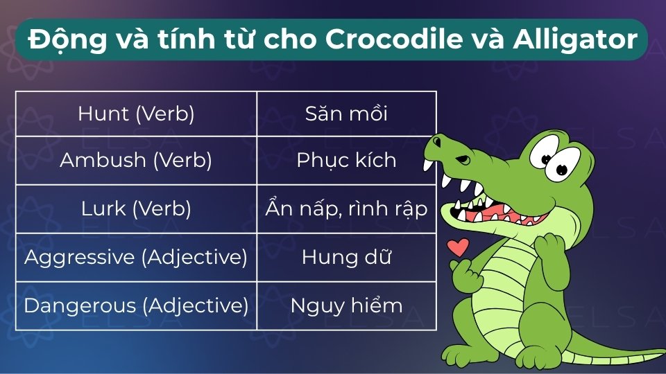 Các động và tính từ tiêu biểu gồm snap, crawl, aggressive, cold-blooded và aquatic Các động và tính từ tiêu biểu gồm snap, crawl, aggressive, cold-blooded và aquatic