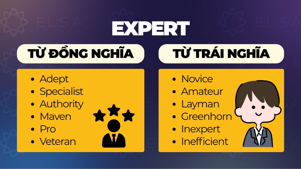 Các từ đồng nghĩa, trái nghĩa với Expert