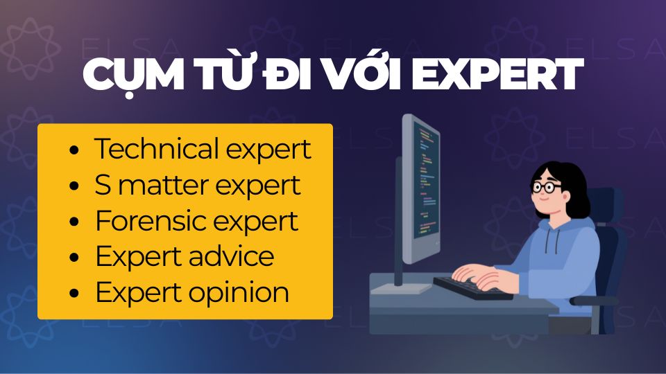 Các cụm từ thường đi cùng với Expert