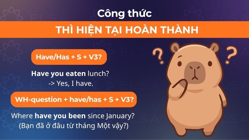 Công thức câu nghi vấn thì hiện tại hoàn thành