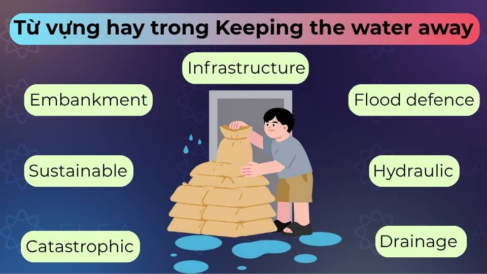 Tổng hợp các từ vựng học thuật cốt lõi kèm phát âm và nghĩa để nâng band Reading Tổng hợp các từ vựng học thuật cốt lõi kèm phát âm và nghĩa để nâng band Reading