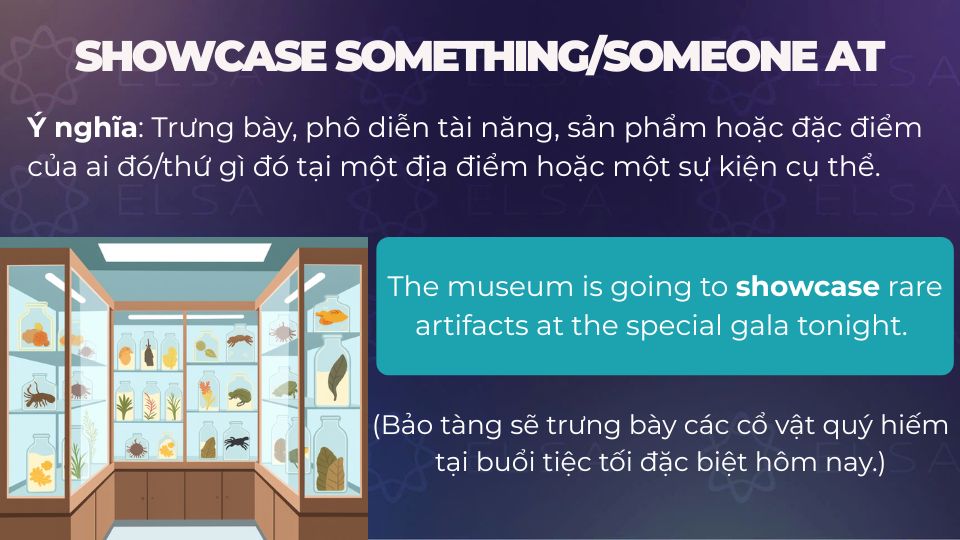 Câu ví dụ cấu trúc showcase something/someone at