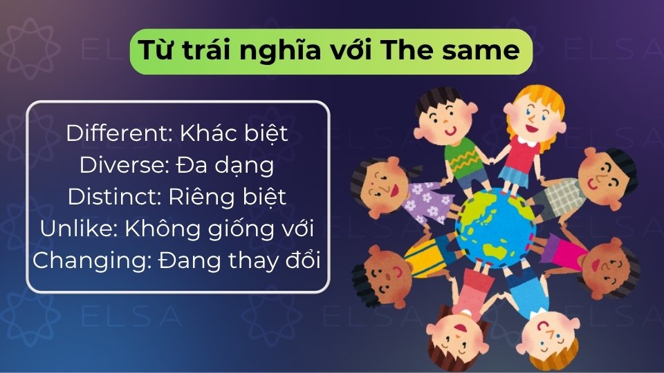 Sử dụng các từ như different, diverse hay unlike để diễn tả sự khác biệt rõ rệt Sử dụng các từ như different, diverse hay unlike để diễn tả sự khác biệt rõ rệt