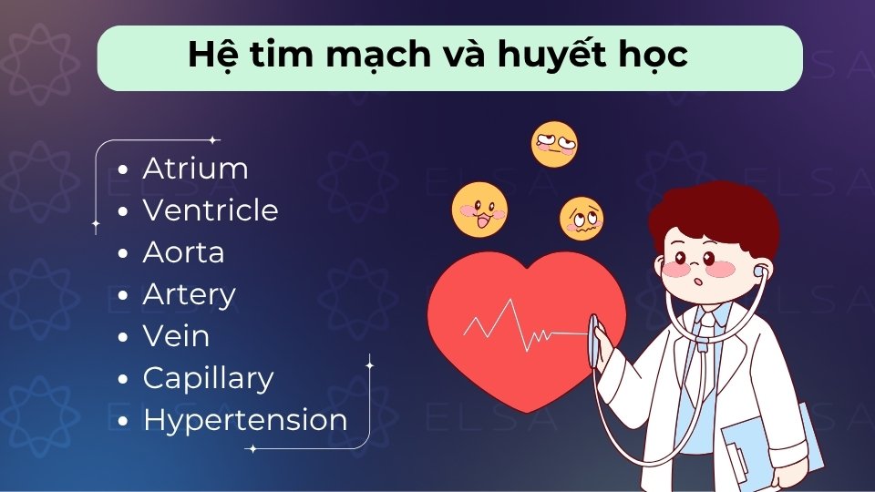 Bao gồm tim (heart), động mạch (artery), tĩnh mạch (vein) và các thành phần máu (blood)