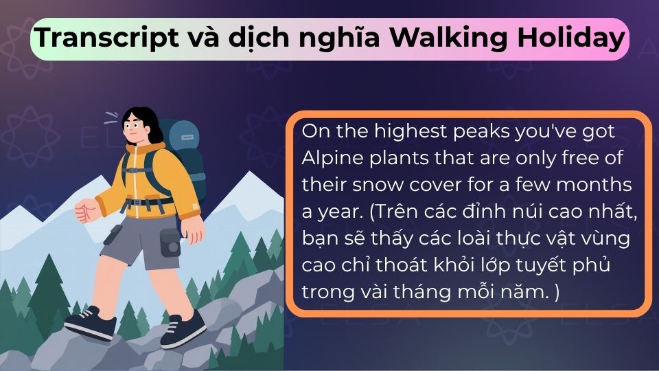 Bản dịch song ngữ bài nghe Walking Holiday giúp bạn nắm vững từ vựng và cấu trúc đề thi IELTS Bản dịch song ngữ bài nghe Walking Holiday giúp bạn nắm vững từ vựng và cấu trúc đề thi IELTS