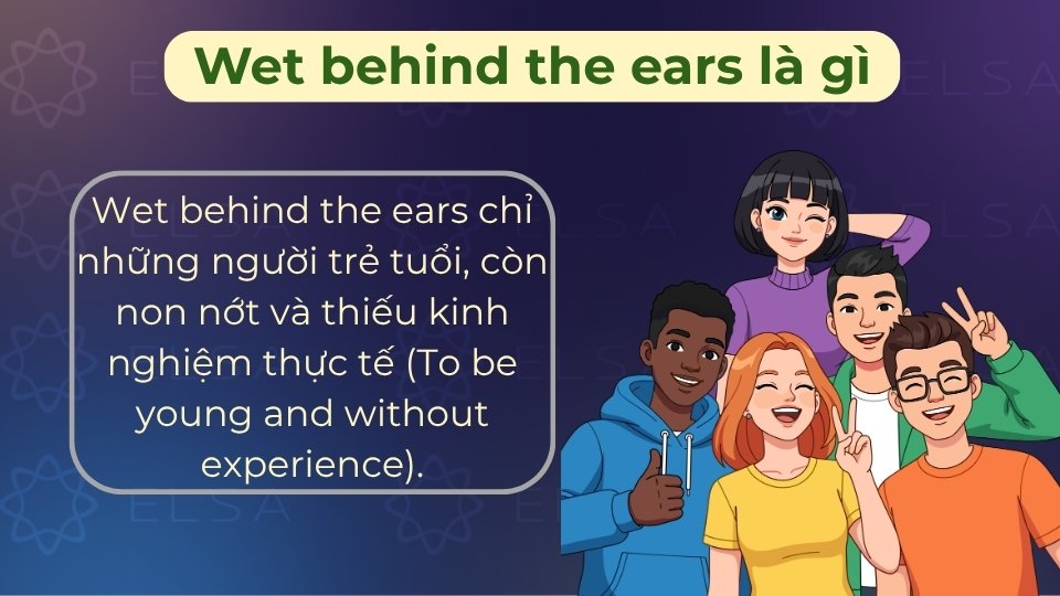 Wet behind the ears là thành ngữ chỉ người còn non nớt, thiếu kinh nghiệm thực tế Wet behind the ears là thành ngữ chỉ người còn non nớt, thiếu kinh nghiệm thực tế