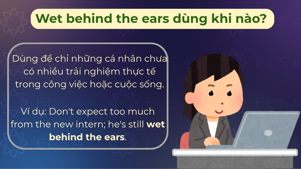 Người mới đi làm thường được ví là wet behind the ears do còn thiếu kinh nghiệm thực tế Người mới đi làm thường được ví là wet behind the ears do còn thiếu kinh nghiệm thực tế