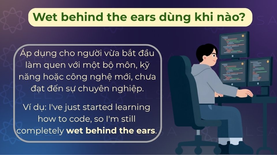 Người mới học kỹ năng thường bị coi là wet behind the ears do chưa có kinh nghiệm thực tế Người mới học kỹ năng thường bị coi là wet behind the ears do chưa có kinh nghiệm thực tế