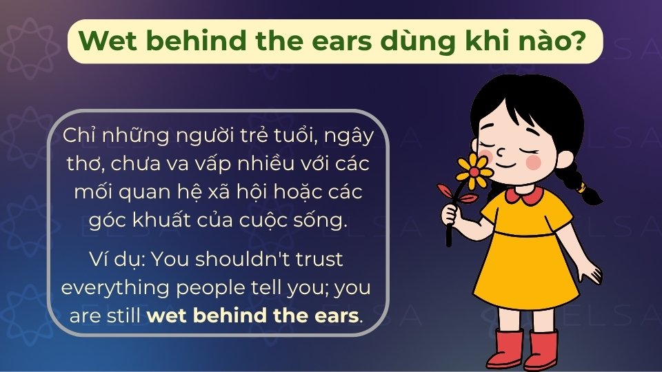 Người thiếu trải nghiệm sống thường được mô tả là wet behind the ears do sự non nớt Người thiếu trải nghiệm sống thường được mô tả là wet behind the ears do sự non nớt