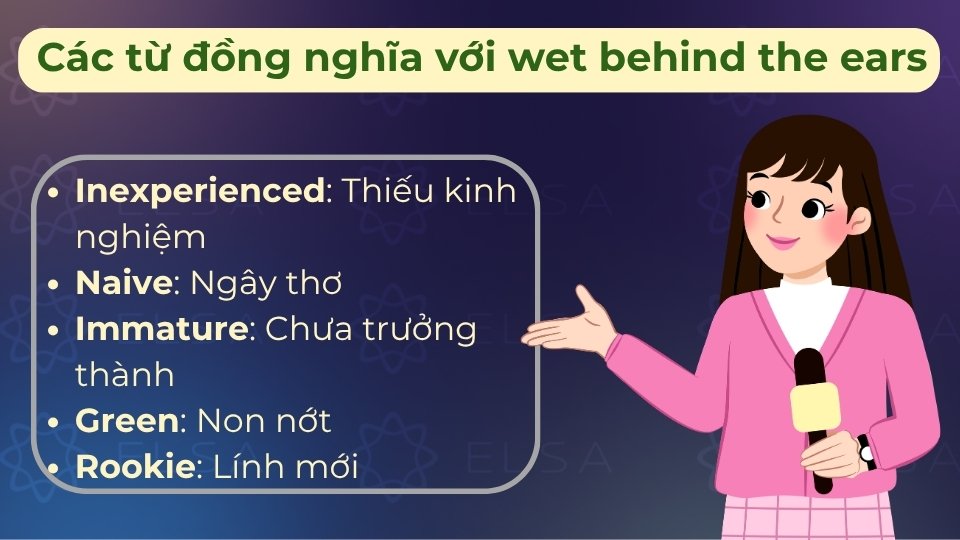 Các từ đồng nghĩa gồm: inexperienced, green, callow, naive,... Các từ đồng nghĩa gồm: inexperienced, green, callow, naive,...