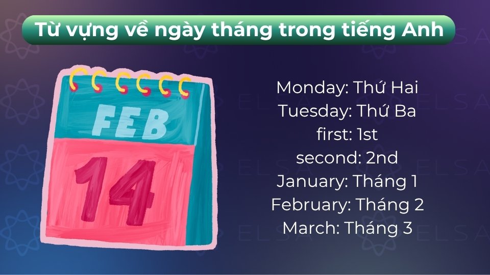 Từ vựng bao gồm thứ trong tuần, tháng trong năm và số thứ tự để chỉ ngày chính xác nhất.