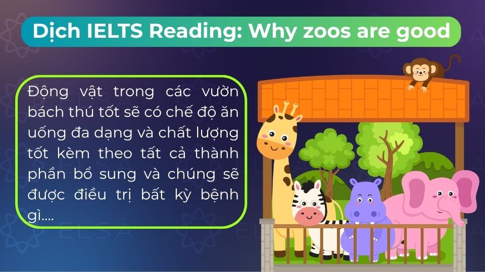 Bản dịch song ngữ bài đọc Why zoos are good giúp bạn hiểu sâu bài và tăng từ vựng Bản dịch song ngữ bài đọc Why zoos are good giúp bạn hiểu sâu bài và tăng từ vựng