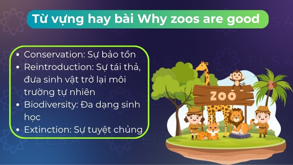 Tổng hợp từ vựng học thuật cốt lõi chủ đề Bảo tồn và Động vật trong bài đọc Tổng hợp từ vựng học thuật cốt lõi chủ đề Bảo tồn và Động vật trong bài đọc