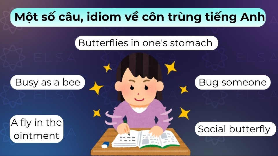 Một số idiom quen thuộc là busy as a bee, social butterfly và butterflies in one's stomach
