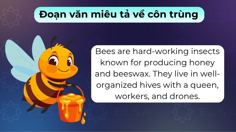 Các đoạn văn tiếng Anh mô tả bướm, kiến, ong giúp bạn rèn luyện đọc hiểu và học từ vựng