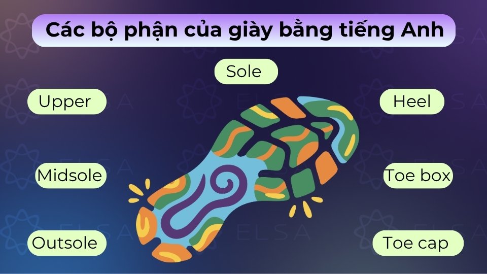 Các bộ phận của giày gồm thân giày (upper), đế giày (sole), gót giày (heel) và lót (insole) Các bộ phận của giày gồm thân giày (upper), đế giày (sole), gót giày (heel) và lót (insole)