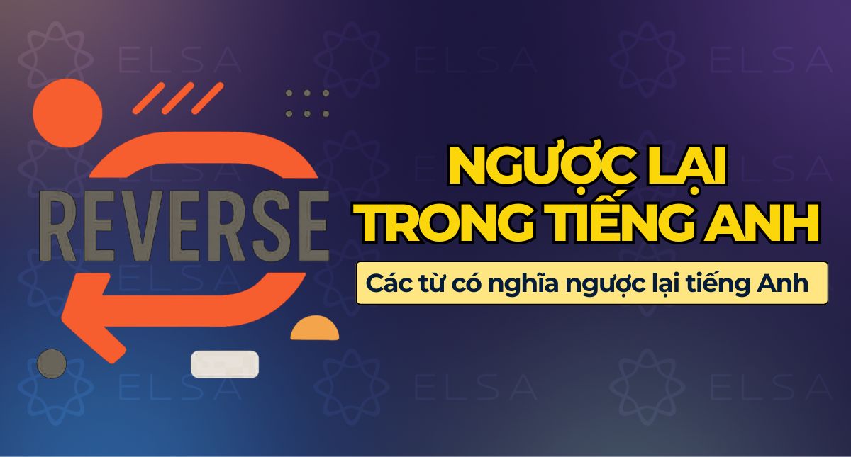 Ngược lại trong tiếng Anh là gì? Cách dùng trong từng ngữ cảnh