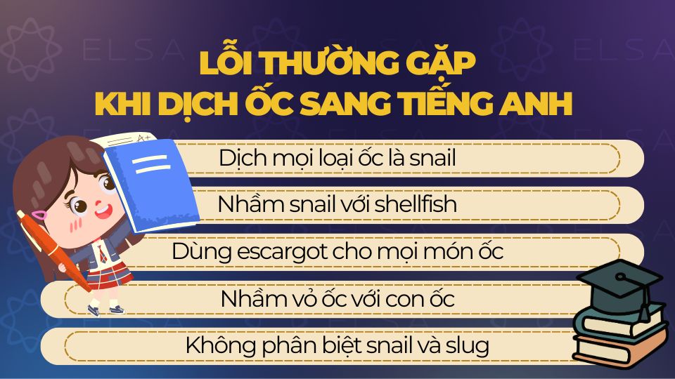 Những lỗi thường gặp khi dịch ốc sang tiếng Anh 