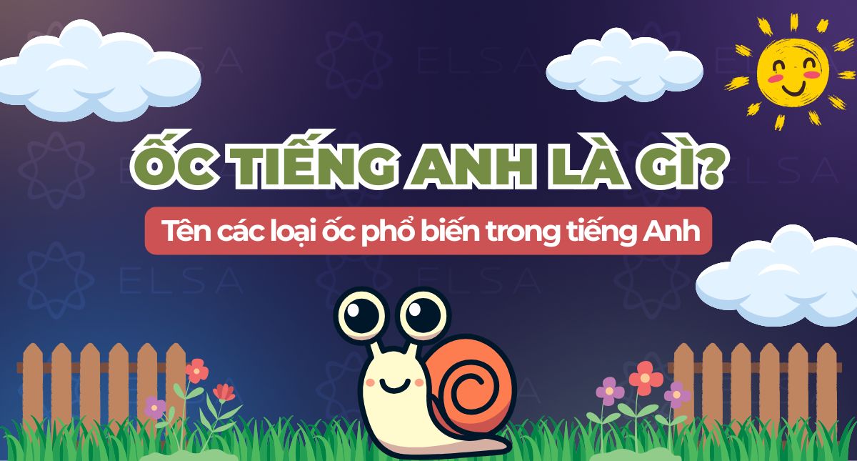 Ốc tiếng Anh là gì? Tên các loại ốc phổ biến trong tiếng Anh