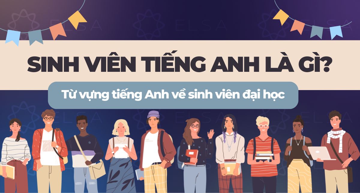 Sinh viên tiếng Anh là gì? Từ vựng tiếng Anh về sinh viên đại học đầy đủ nhất