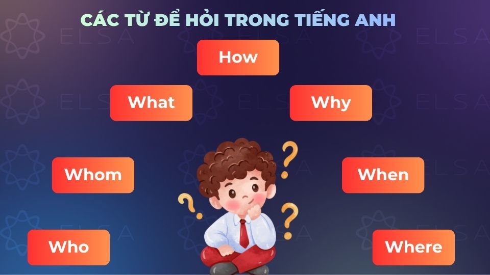 Các từ để hỏi trong tiếng Anh Các từ để hỏi trong tiếng Anh