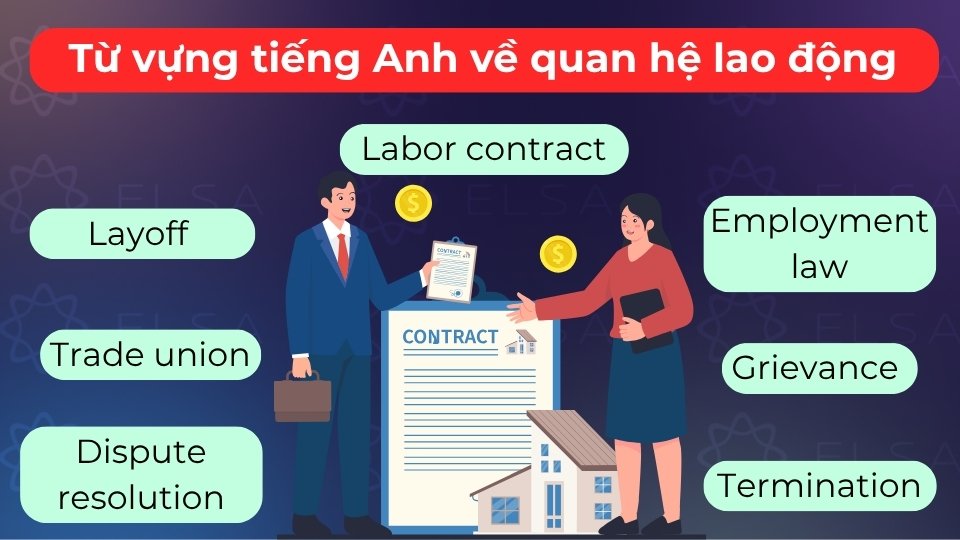 Từ vựng gồm Labor contract, Workplace policy, Dispute resolution và Employee relations