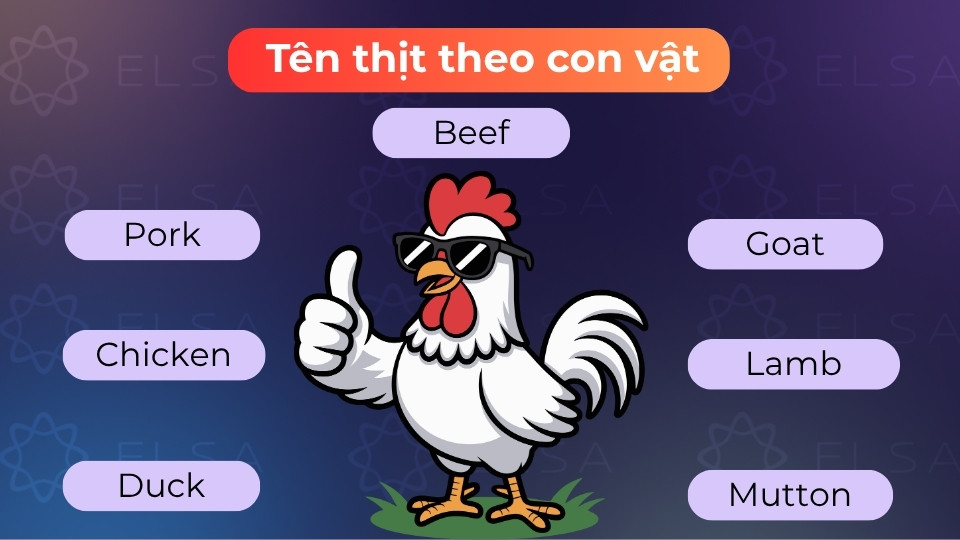 Tên các loại thịt theo con vật trong tiếng Anh thường khác biệt hoàn toàn với tên con vật đó