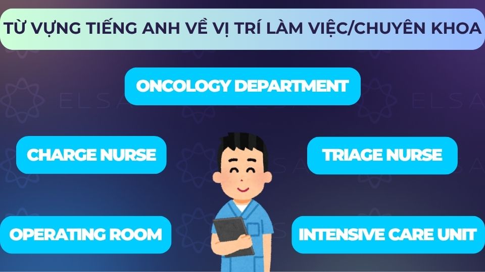 Một số từ vựng tiếng Anh về vị trí làm việc/chuyên khoa