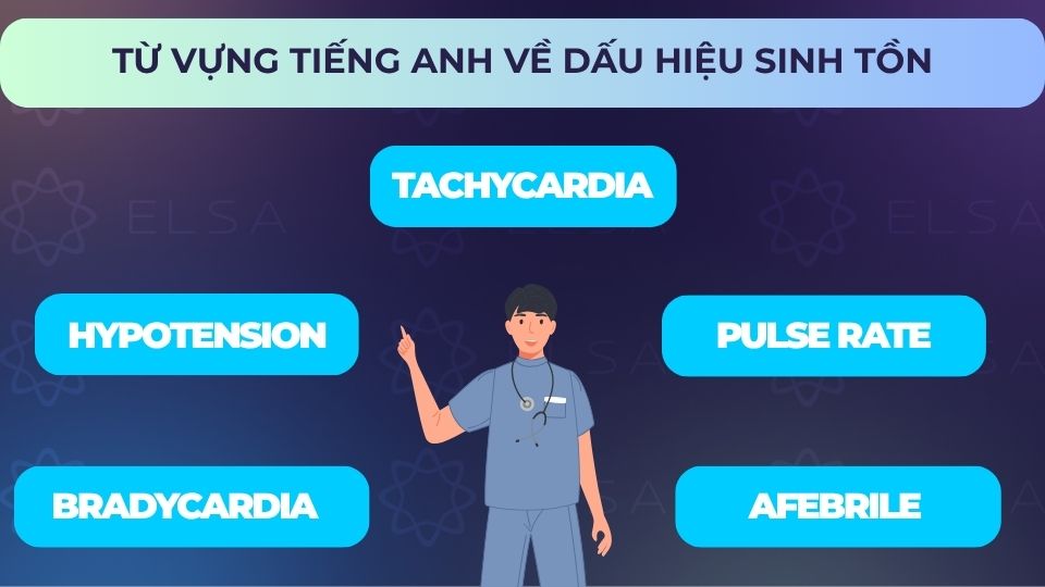 Một số từ vựng tiếng Anh về dấu hiệu sinh tồn