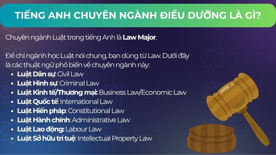 Chuyên ngành Luật trong tiếng Anh là Law Major
